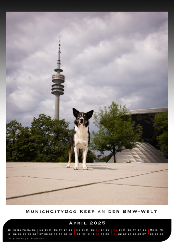 MunichCityDogs Kalender 2025